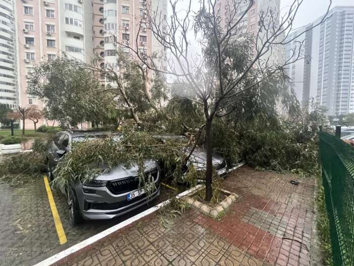 firtina-hayati-felc-etti-agac-5-aracin-uzerine-devrildi