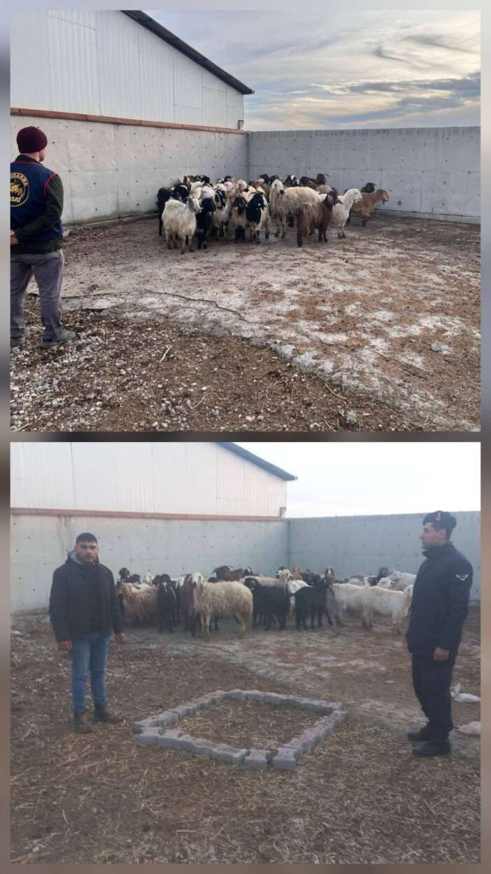 konyada-bir-besicinin-48-hayvani-calindi-7-kisi-gozaltinda