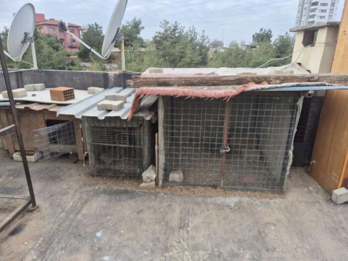 asansore-tuvaletini-yapan-17-yasindaki-hirsiz-yakalandi