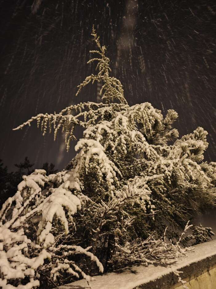 konyada-sulanmayan-alan-kalmadi-iste-ilce-ilce-dusen-yagis-miktari