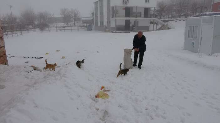 koyun-nufusu-mevsime-gore-degisiyor-kisin-2-bin-kisiden-sadece-4-kisi-kaliyor