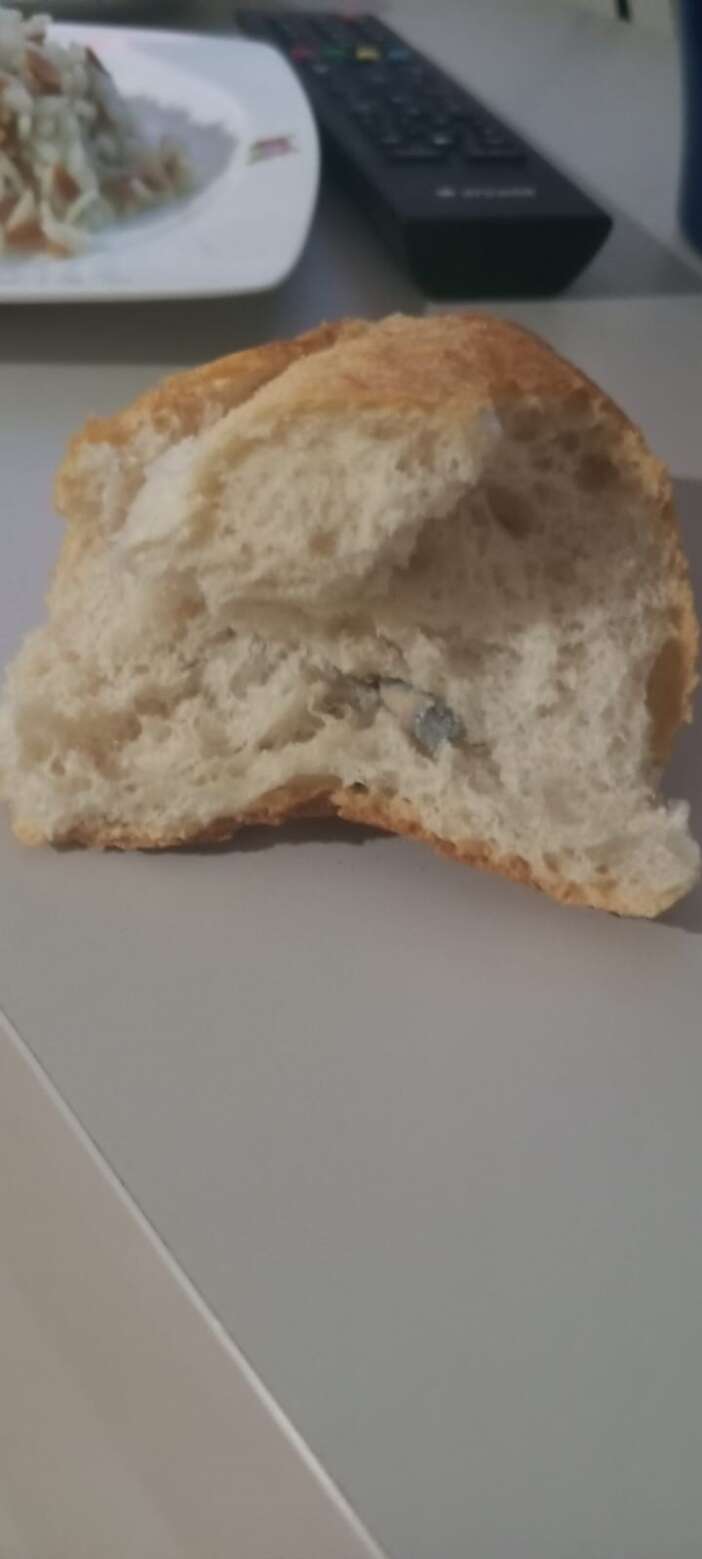 vatandasin-yeni-kabusu-ekmek-oldu-icinden-cikan-pes-dedirtti