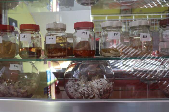 cocukken-yolda-buldu-hayati-degisti