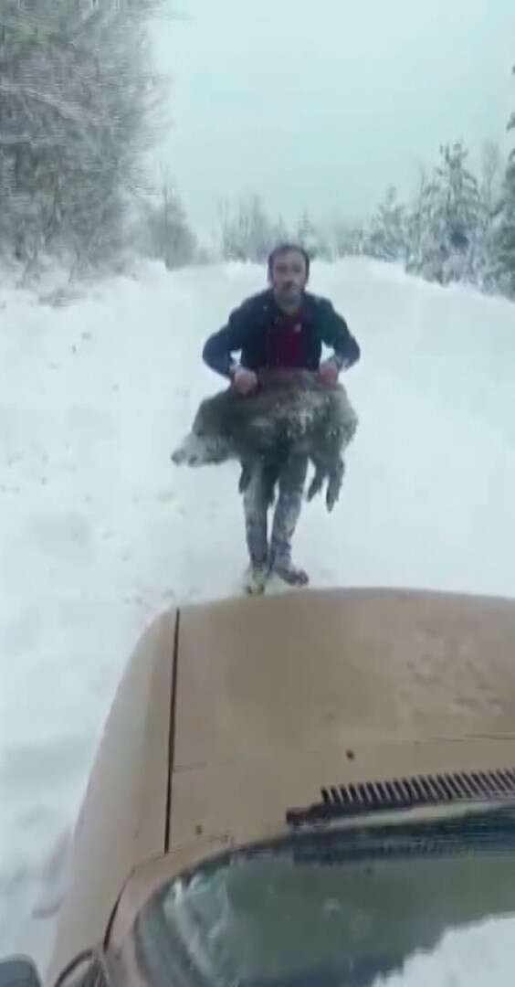 elleriyle-domuz-yakalayan-adama-15-bin-tl-para-cezasi