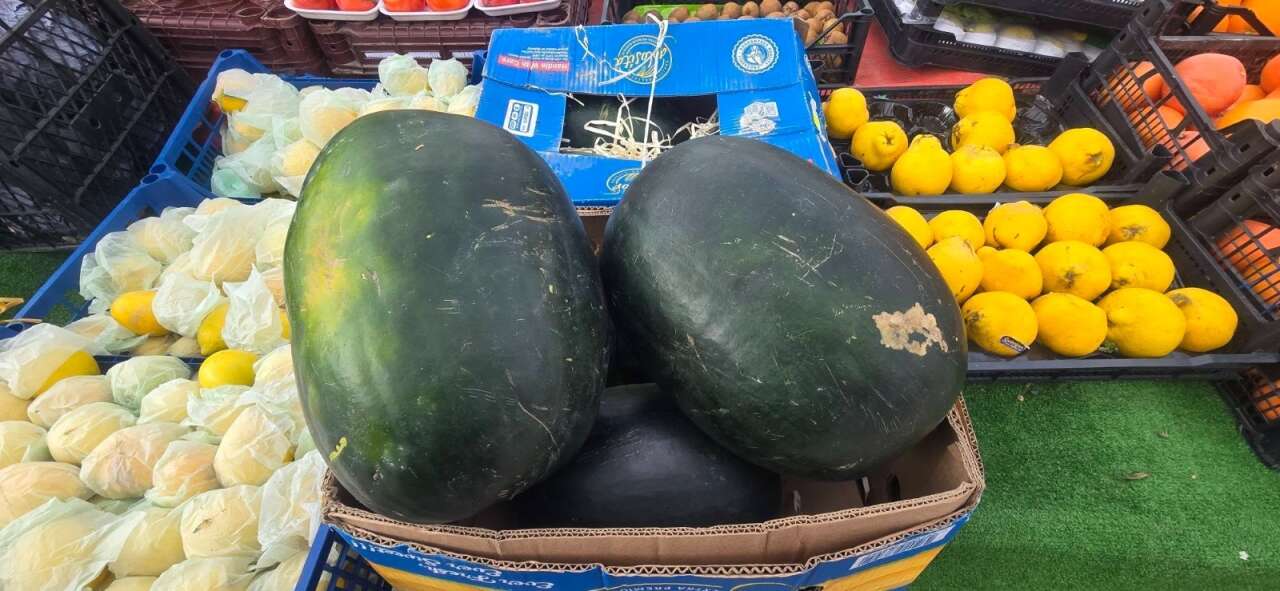 yaz-meyvesi-konyada-kis-ortasinda-tezgaha-cikti