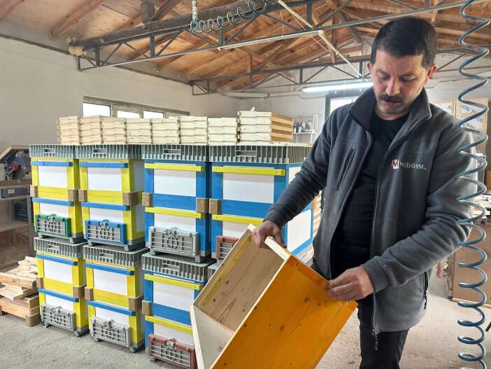 aricilarin-futbol-tutkusu-kovanlara-yansidi