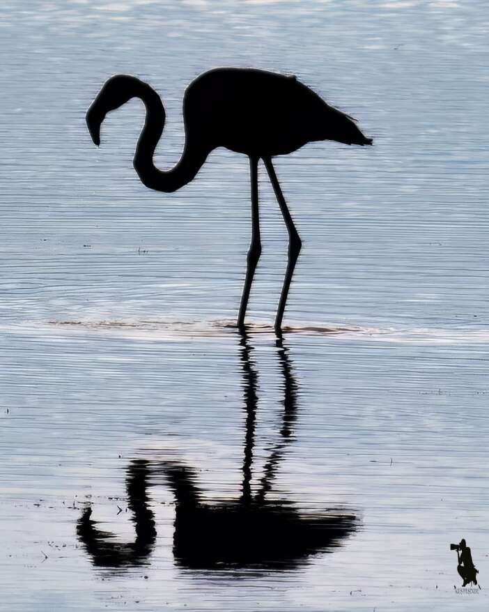 konyanin-kus-cenneti-emekli-astsubayin-kadrajinda