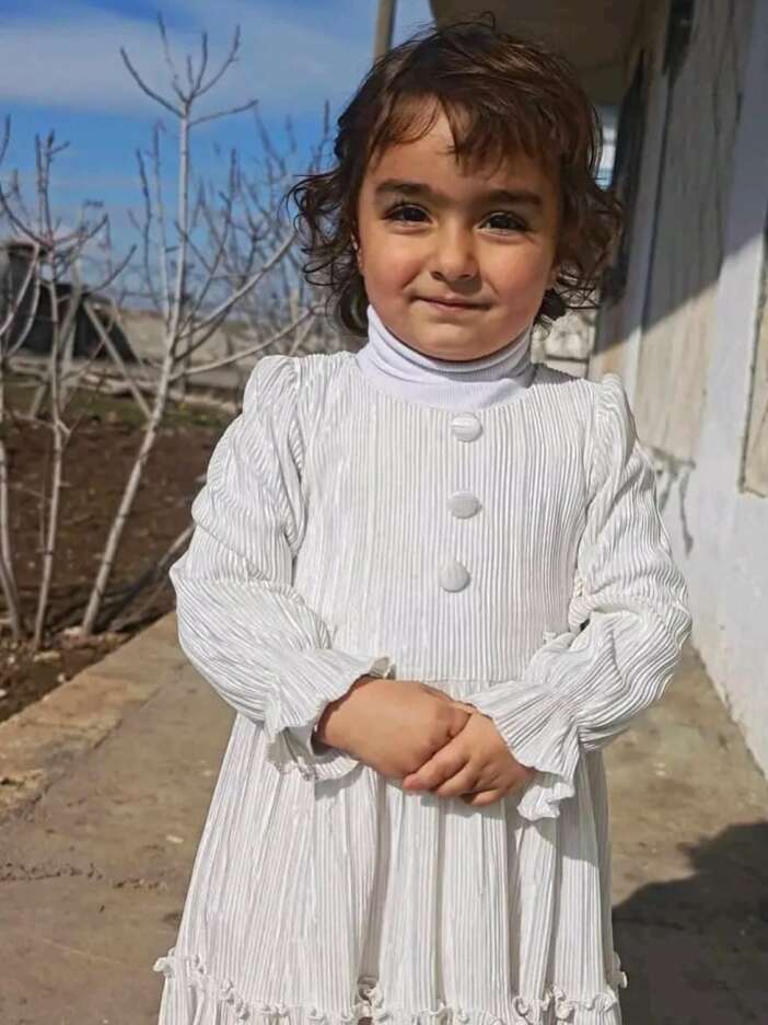 4-yasindaki-cocuga-sokak-kopekleri-saldirdi-durumu-agir