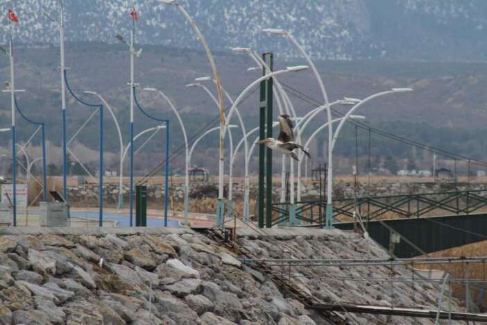 beysehir-golunde-kis-surprizi-duyan-fotograf-cekmeye-kostu