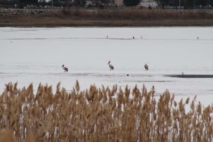 beysehir-golunde-kis-surprizi-duyan-fotograf-cekmeye-kostu