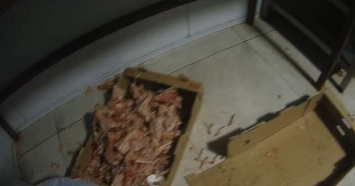 cayirovadaki-tavuk-tesisinde-hijyen-skandali