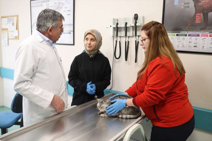 konyada-kedi-ve-kopek-sahipleri-artik-dis-sagligina-da-onem-veriyor