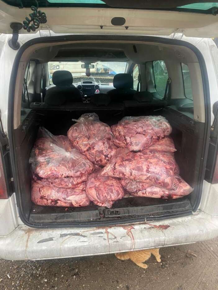 jandarma-gormese-vatandasa-yedireceklerdi-tam-450-kilo