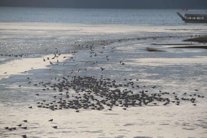 sibirya-sogugu-konyanin-denizini-susturdu-beysehir-golu