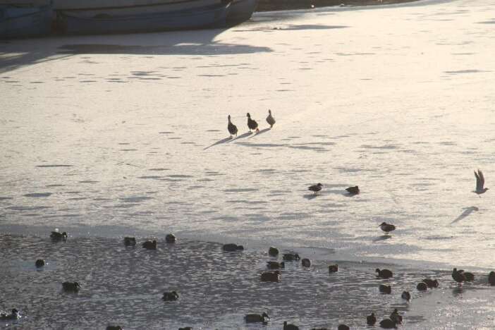 sibirya-sogugu-konyanin-denizini-susturdu-beysehir-golu