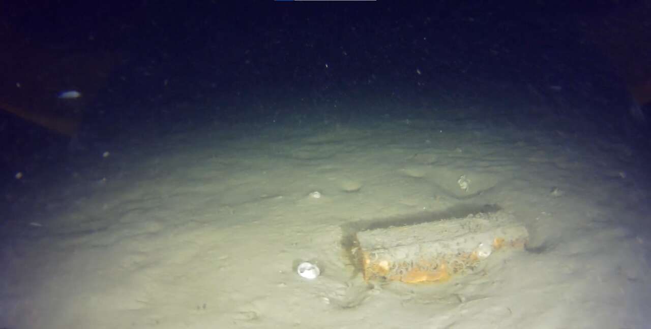 42-kisi-hayatini-kaybetmisti-thynin-dusen-ucaginin-parcalari-bulundu