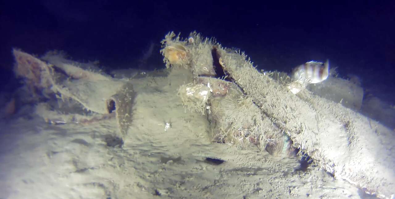 42-kisi-hayatini-kaybetmisti-thynin-dusen-ucaginin-parcalari-bulundu