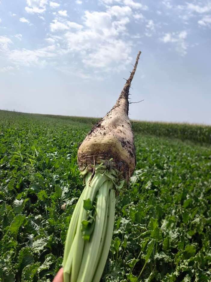 konya-ciftcisi-kararsiz