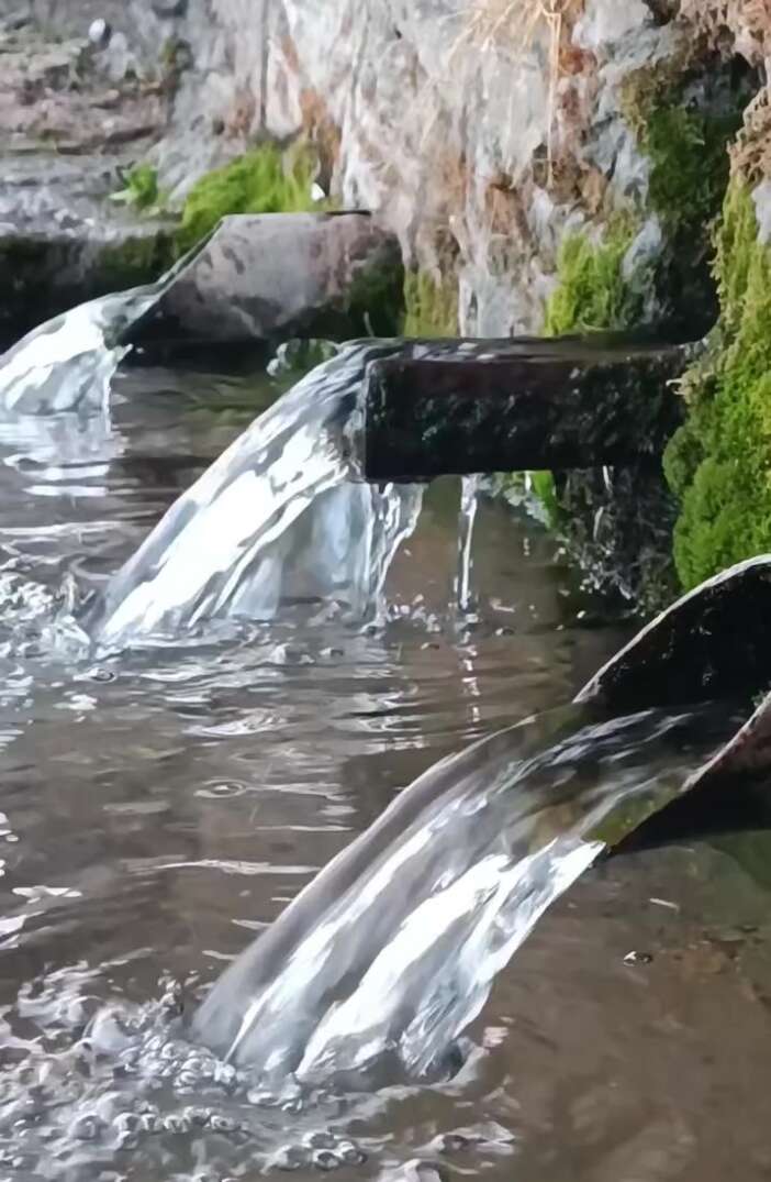 etkili-olan-yagislar-kurakligin-vurdugu-konyaya-can-suyu-oldu