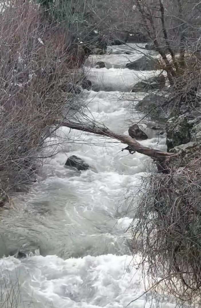 etkili-olan-yagislar-kurakligin-vurdugu-konyaya-can-suyu-oldu