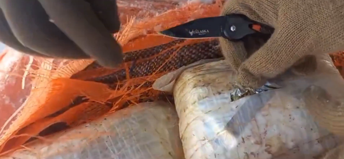 bakan-yerlikaya-acikladi-348-kilogram-uyusturucu-madde-ele-gecirildi