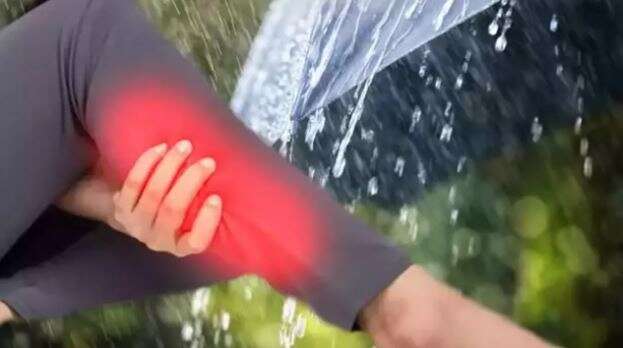 eklem-agrilari-gercekten-yagmurun-habercisi-mi