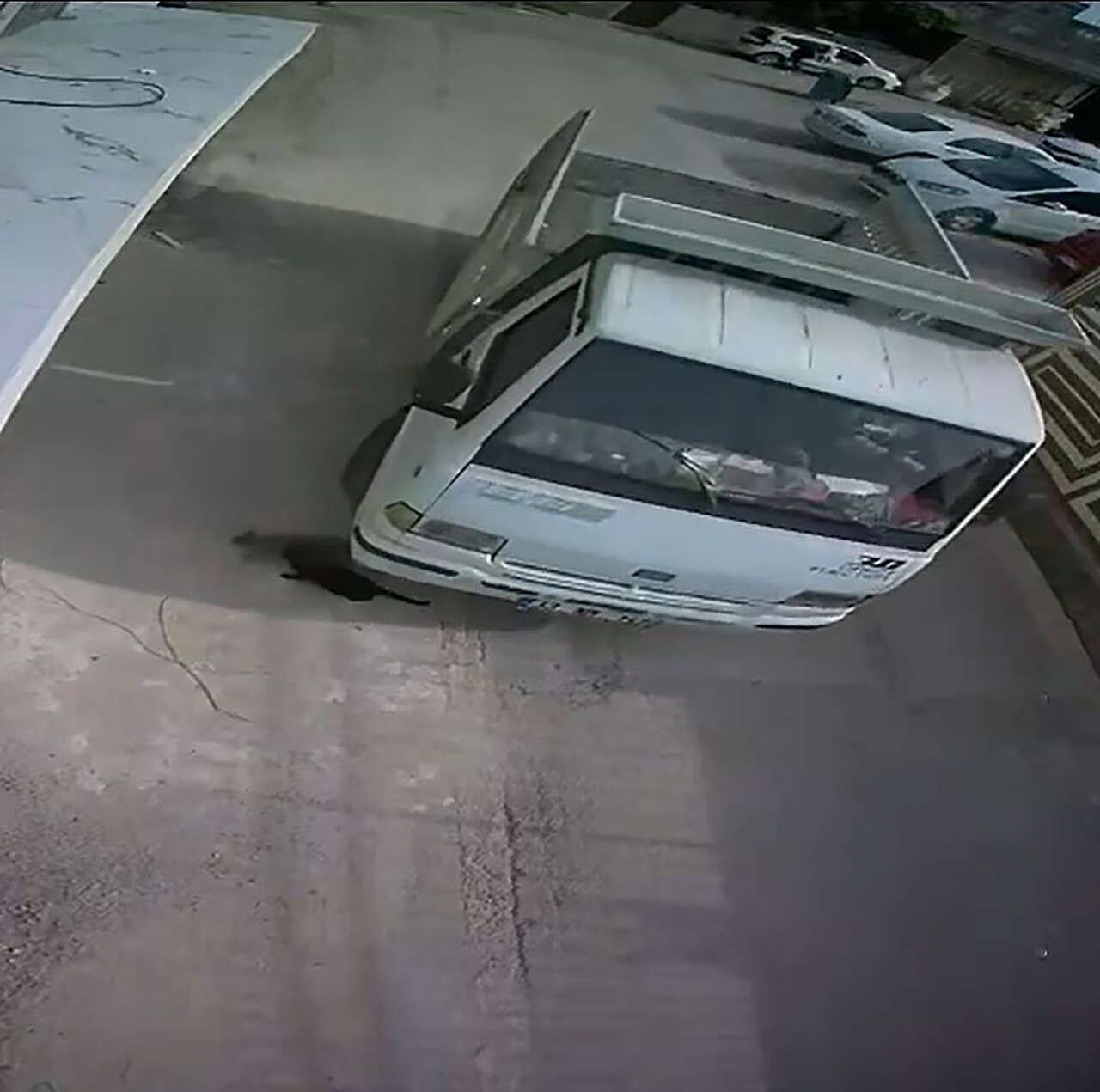 kediyi-ezen-surucuye-mahkemeden-ornek-ceza-1-ay-onlara-hizmet-edecek