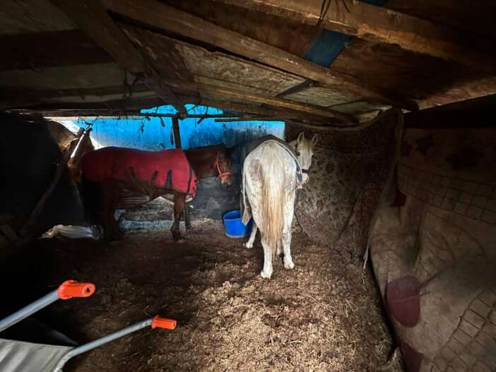 otoyol-kenarindaki-kemikler-ekipleri-vahsetin-adresine-goturdu