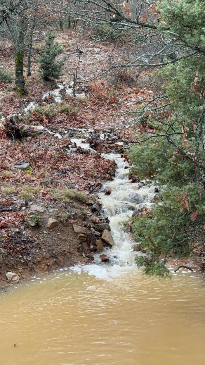 bu-yil-ilk-konyanin-unlu-caglayani-costu-seydisehir-gurlevik-caglayani