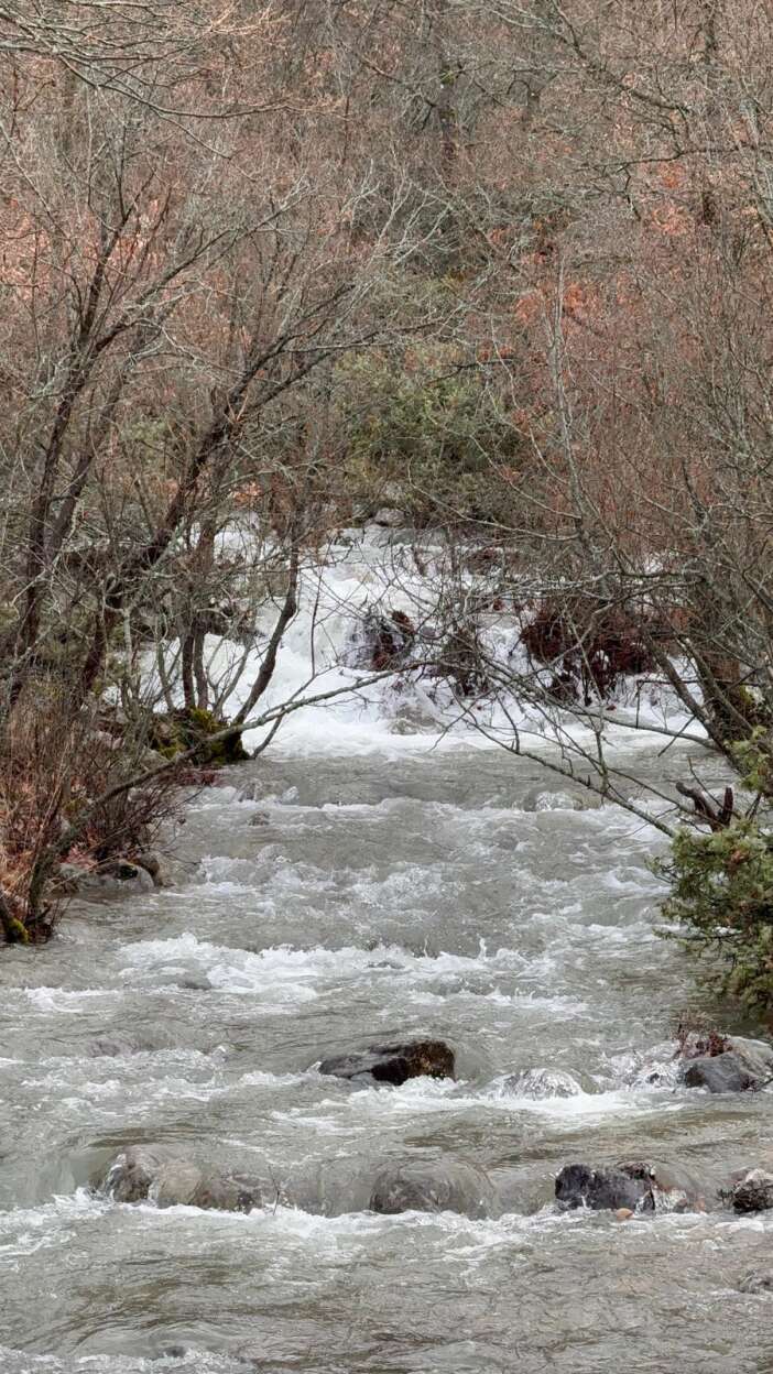 bu-yil-ilk-konyanin-unlu-caglayani-costu-seydisehir-gurlevik-caglayani
