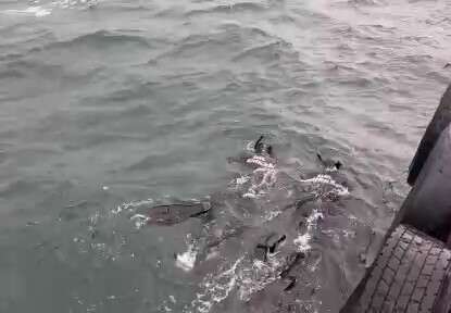 universiteli-gencin-son-goruntuleri-ekipleri-harekete-gecirdi