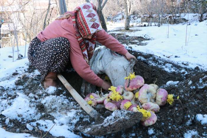 konyada-yaz-sebzelerini-kis-ortasinda-yeni-toplamis-gibi-yiyorlar-hadim