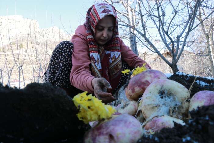 konyada-yaz-sebzelerini-kis-ortasinda-yeni-toplamis-gibi-yiyorlar-hadim