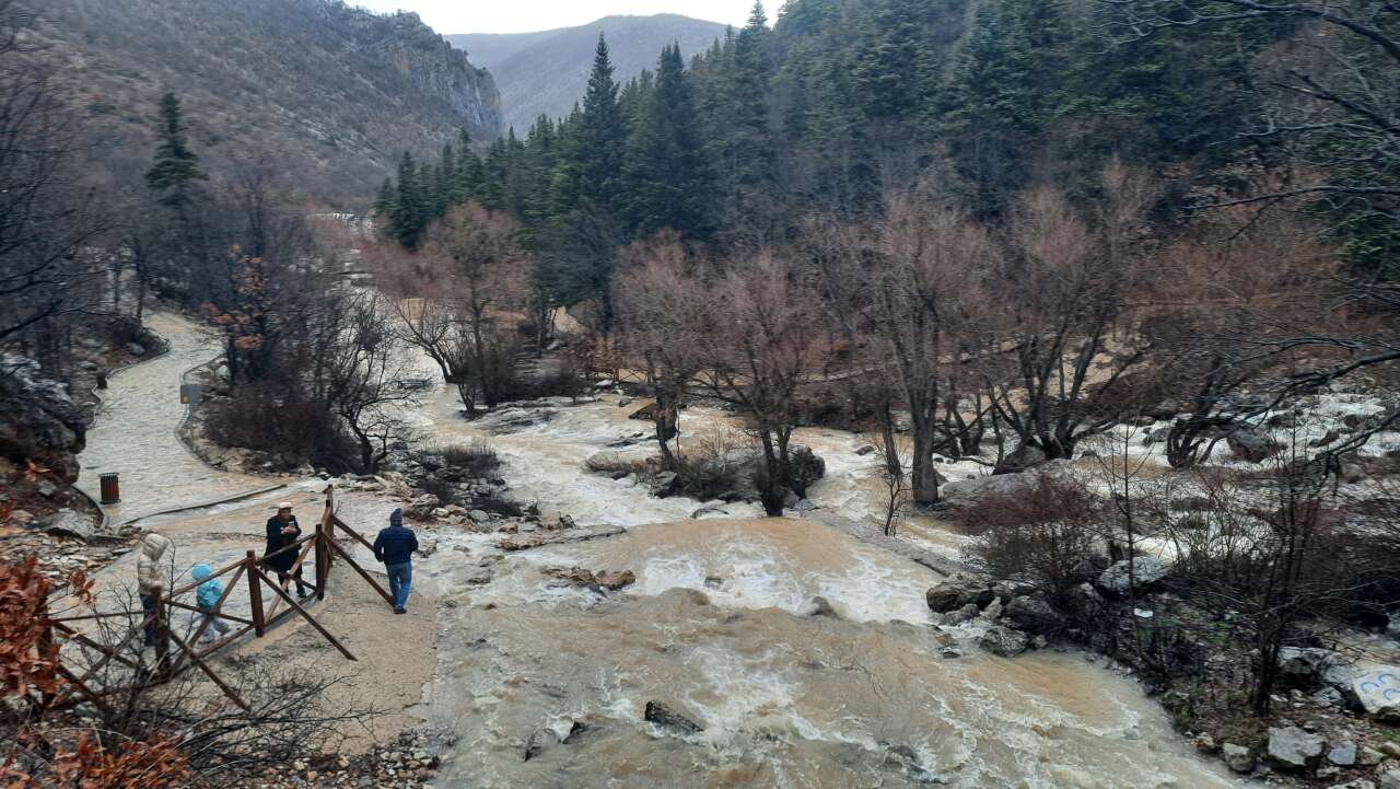 konyada-kurakligin-ardindan-sevindiren-manzara-yeniden-canlandi