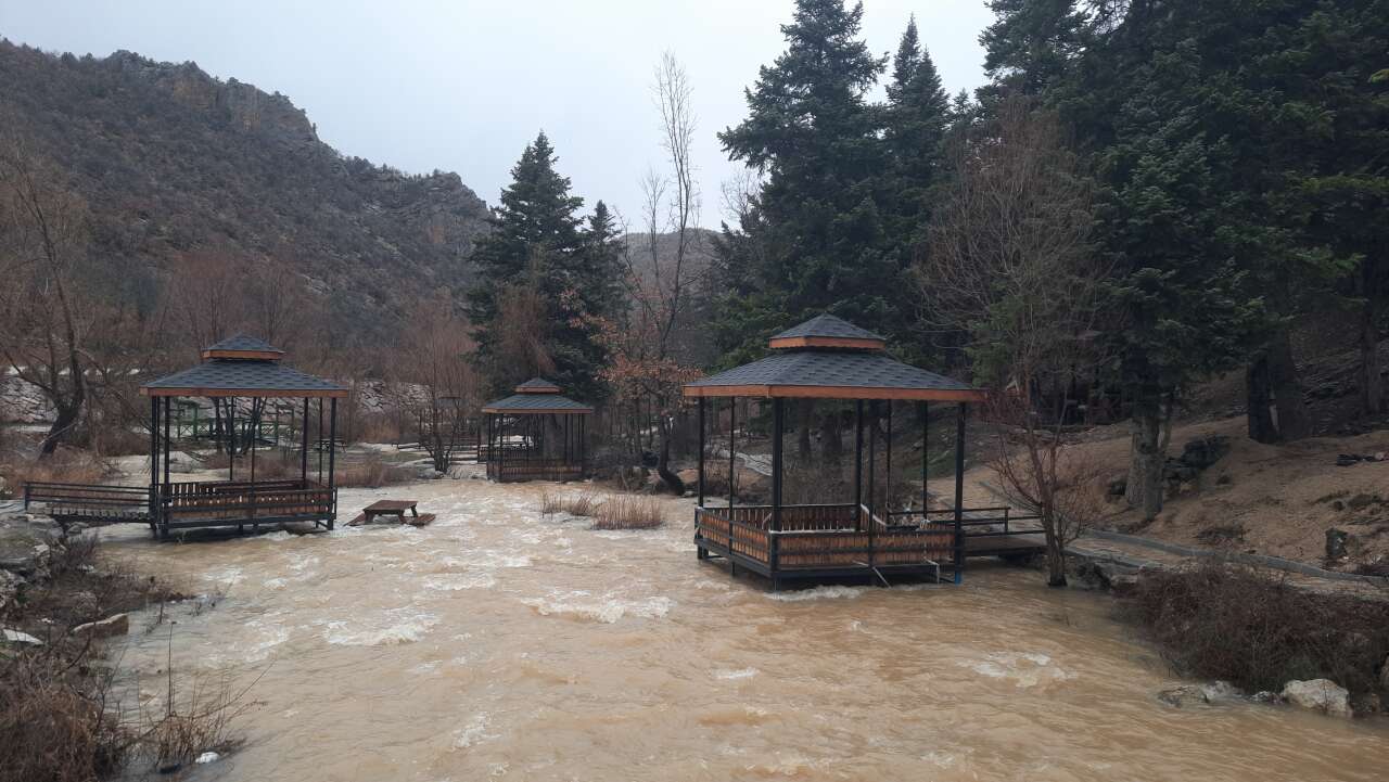 konyada-kurakligin-ardindan-sevindiren-manzara-yeniden-canlandi