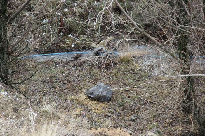 kan-donduran-cinayet-cesedi-parcalanmis-halde-bulundu