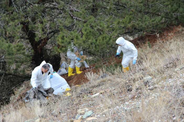 kan-donduran-cinayette-yeni-gelisme-kesik-basi-ormanda-bulundu