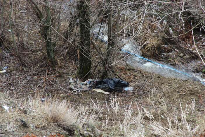 kan-donduran-cinayette-yeni-gelisme-kesik-basi-ormanda-bulundu