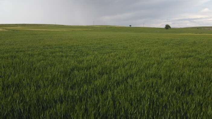 konyanin-5-gunluk-yagis-tablosu-acikladi