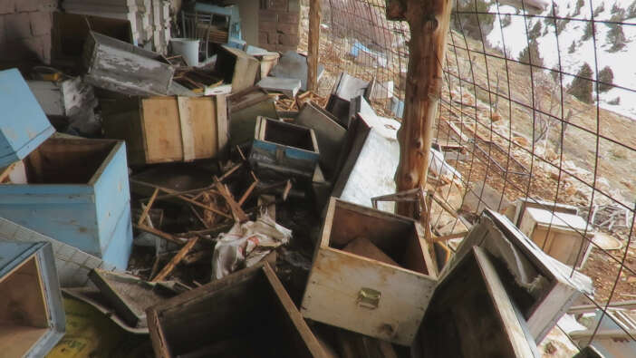 konyada-ayi-panigi-mahalleli-diken-ustunde