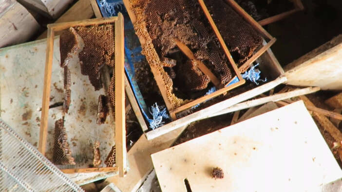 konyada-ayi-panigi-mahalleli-diken-ustunde