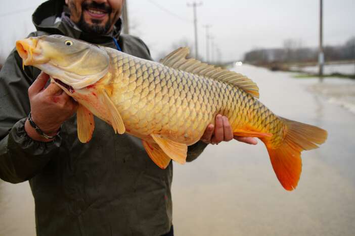 tarladan-sebze-degil-balik-topladilar