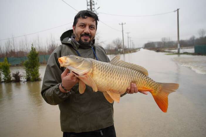 tarladan-sebze-degil-balik-topladilar