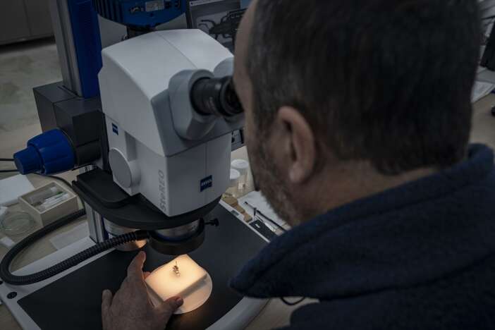 turkiyede-kesfedilen-iki-hortumlu-bocek-turu-dunya-literaturune-girdi