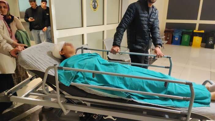 ekmek-almaya-giderken-sokak-kopekleri-saldirdi