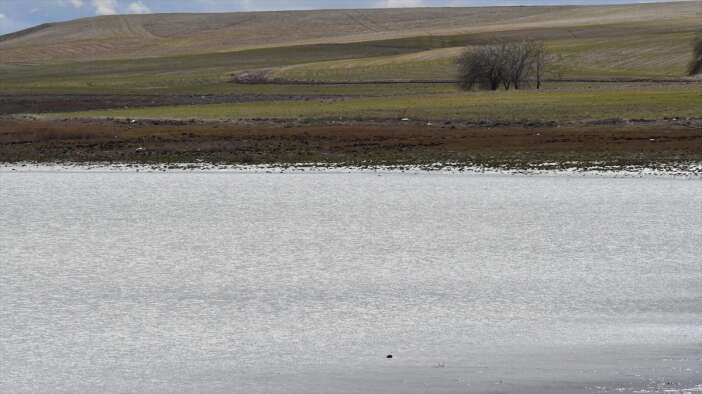 konyada-kuraklik-kurbani-olan-kucuk-gol-4-yil-sonra-suya-kavustu