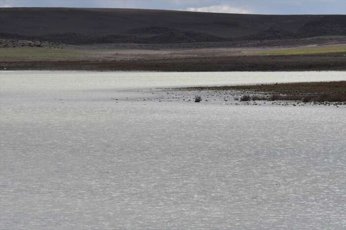 konyada-kuraklik-kurbani-olan-kucuk-gol-4-yil-sonra-suya-kavustu