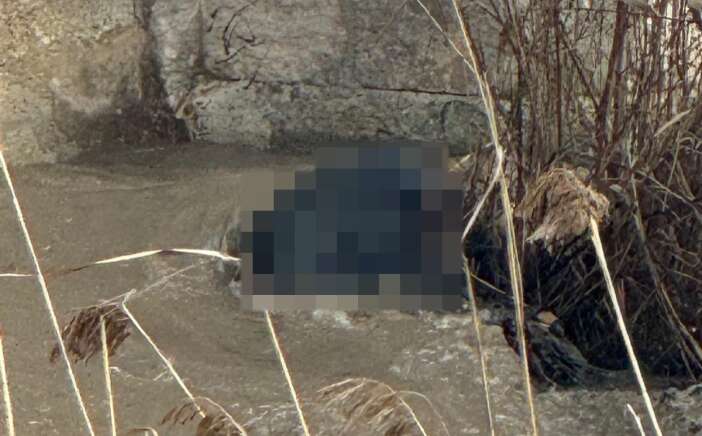 dere-yataginda-ceset-bulundu