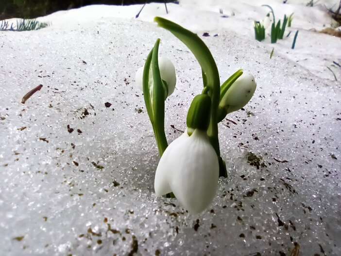doga-uyaniyor-cemre-bugun-havada-gonulleri-de-isitacak