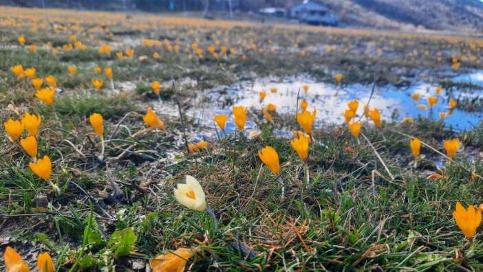 doga-uyaniyor-cemre-bugun-havada-gonulleri-de-isitacak